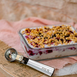 Berry cheesecake cookies ice cream