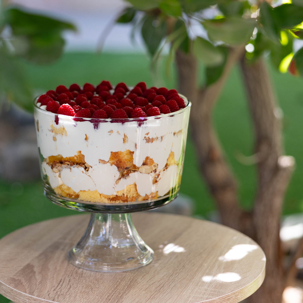 Raspberry & Almonds Trifle